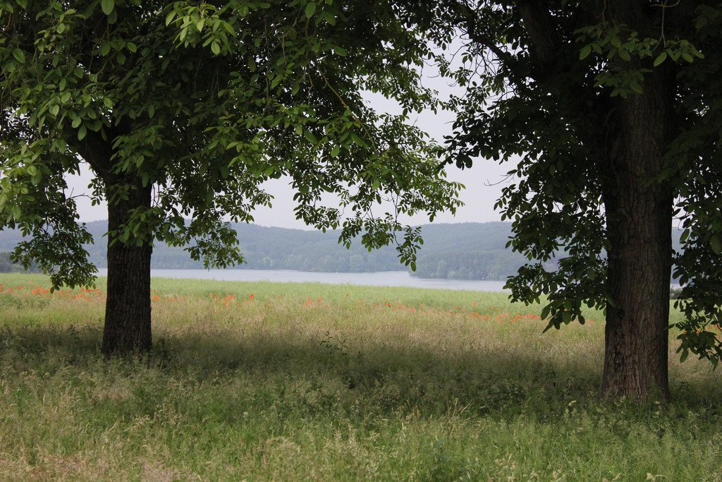 22. Oelder Schwalbentour